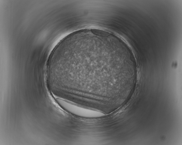 X0000115341048200911161827