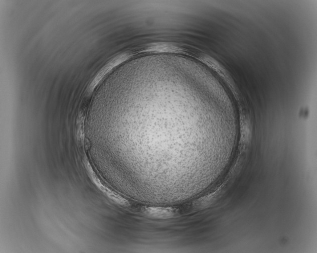 X0000115341049200911161827