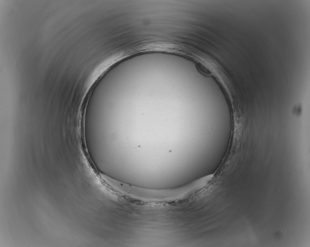 X0000115341050200911161827