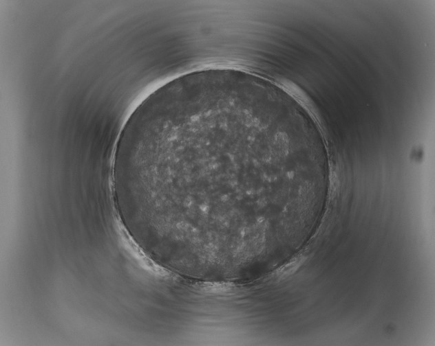 X0000115341052200911161827