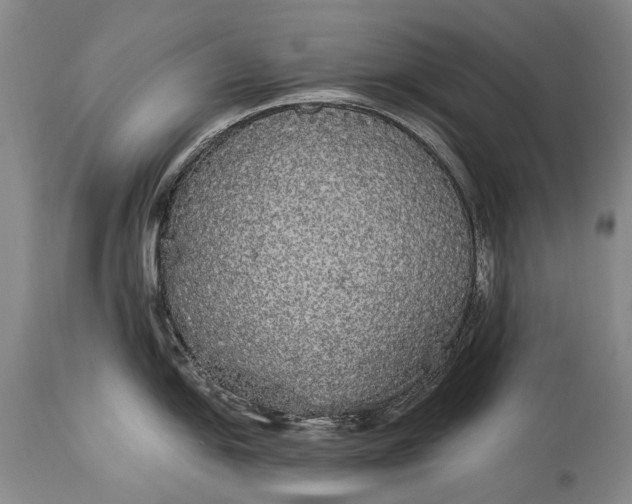 X0000115341054200911161827