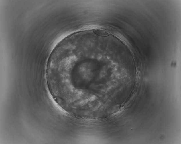 X0000115341055200911161827