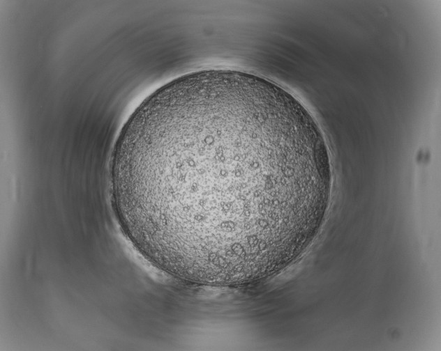 X0000115341056200911161827