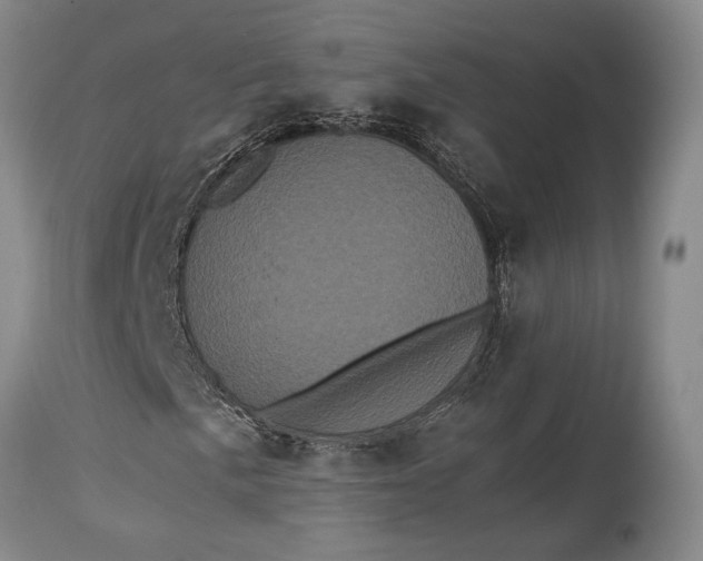 X0000115341057200911161827