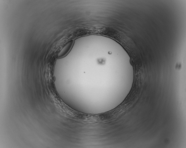 X0000115341058200911161827