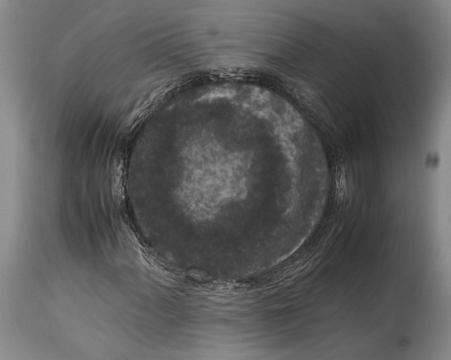 X0000115341060200911161827