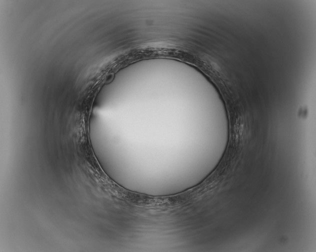 X0000115341062200911161827