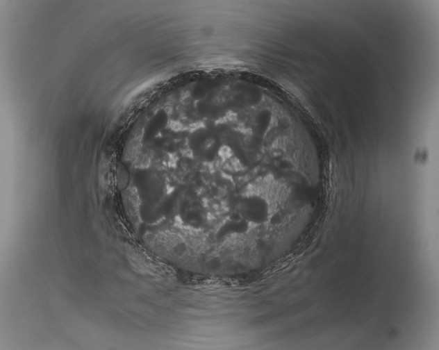 X0000115341063200911161827