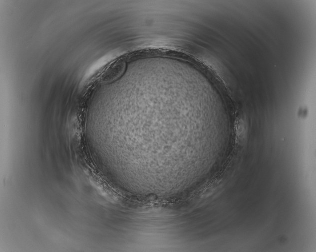 X0000115341064200911161827