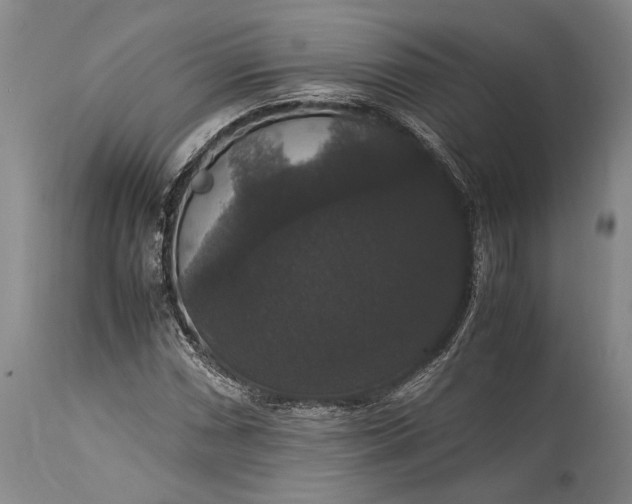 X0000115341066200911161826
