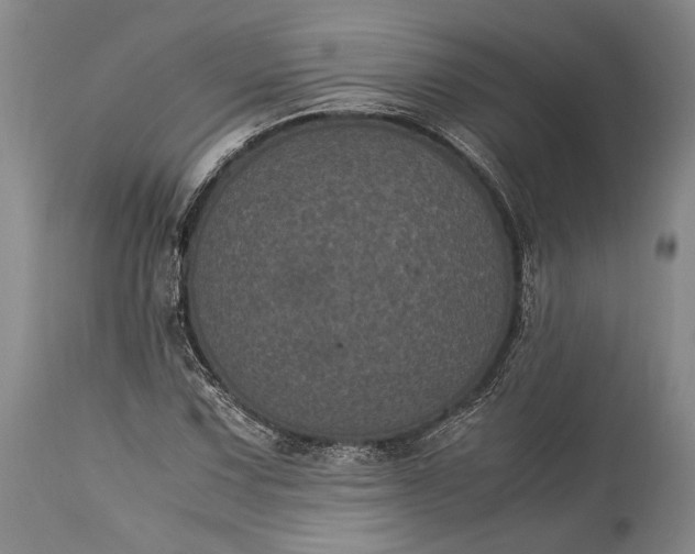X0000115341067200911161826