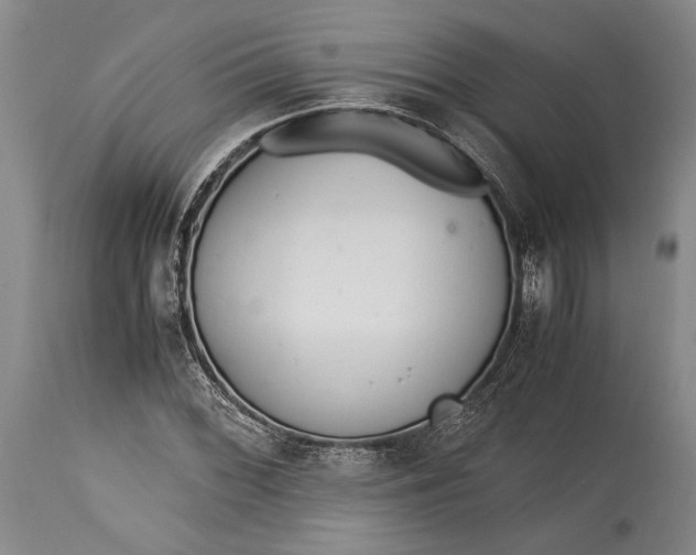 X0000115341068200911161826