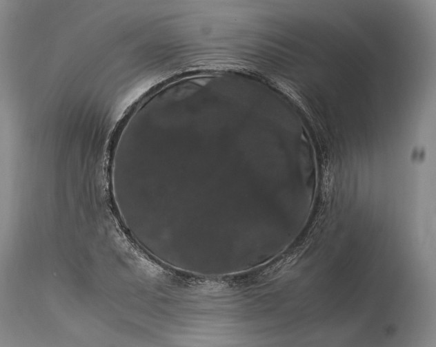 X0000115341071200911161826