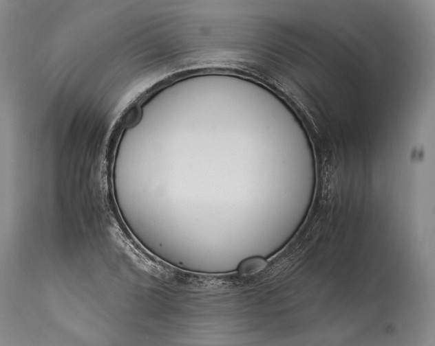 X0000115341072200911161826
