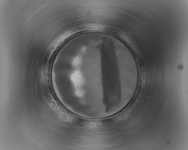 X0000115341074200911161826