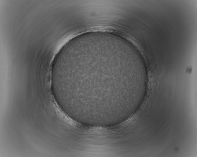 X0000115341075200911161826