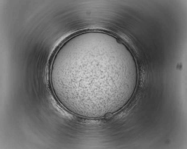 X0000115341076200911161826