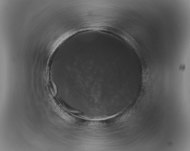 X0000115341077200911161826