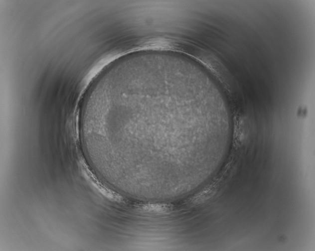X0000115341078200911161826