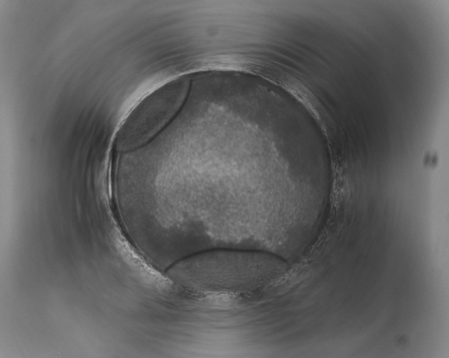 X0000115341080200911161826