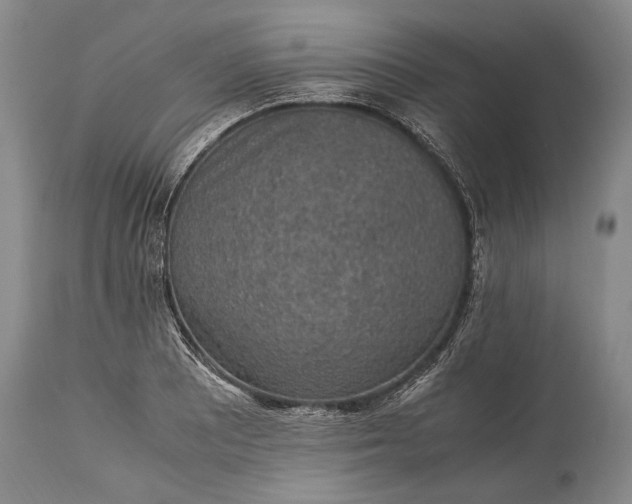 X0000115341081200911161826