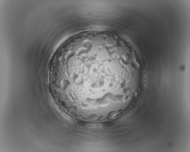 X0000115341083200911161826