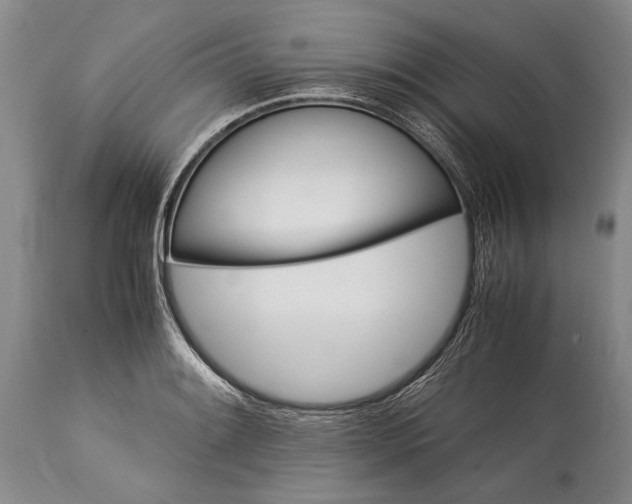 X0000115341084200911161826