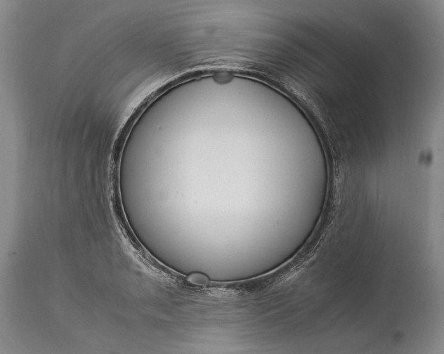 X0000115341085200911161826