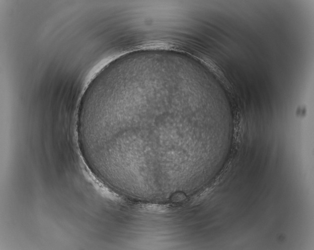 X0000115341086200911161826