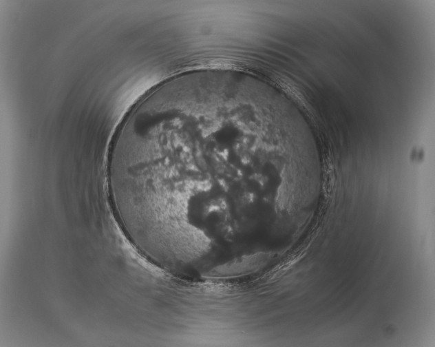 X0000115341087200911161826