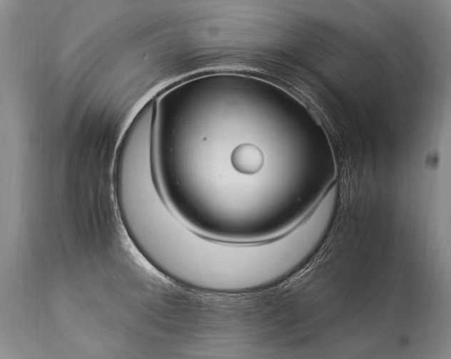 X0000115341092200911161826