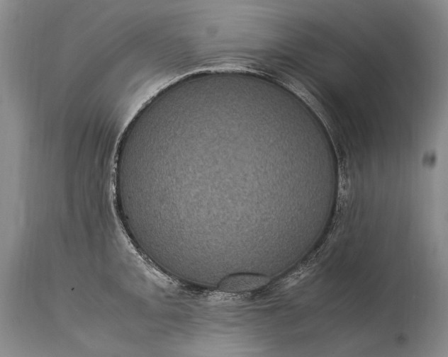 X0000115341093200911161826