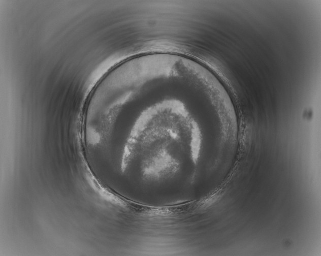 X0000115341094200911161826