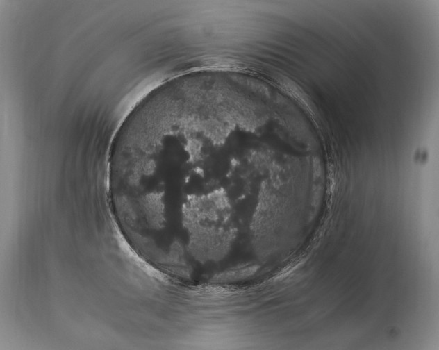 X0000115341095200911161826