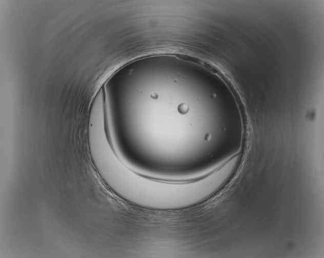 X0000115341097200911161826