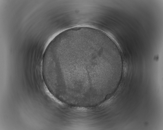 X0000115341100200911161826