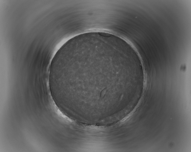 X0000115341102200911161826
