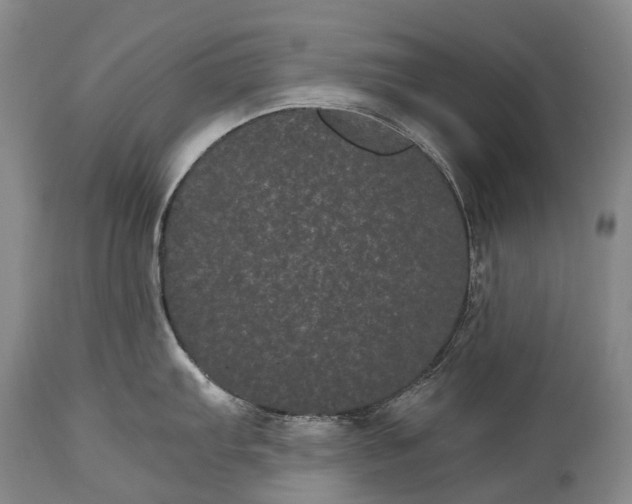 X0000115341103200911161826