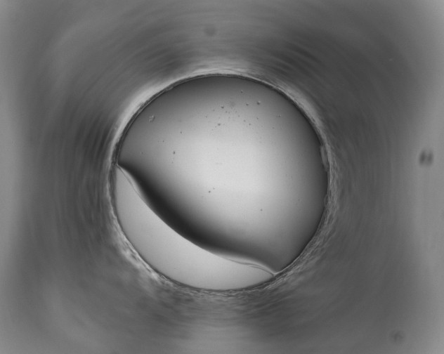 X0000115341104200911161826