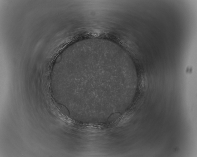 X0000115341105200911161825