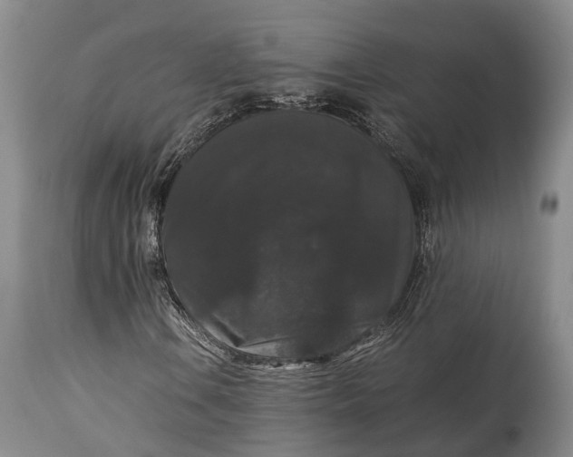 X0000115341106200911161825