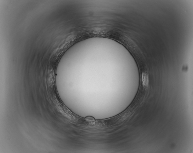 X0000115341107200911161825