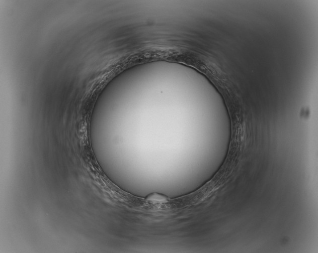 X0000115341109200911161825