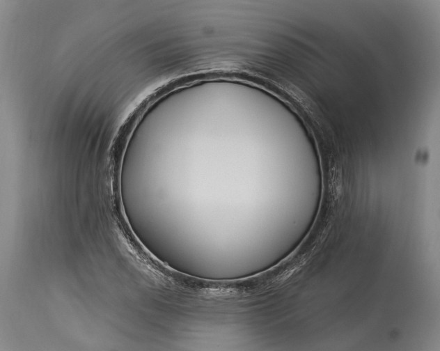 X0000115341118200911161825