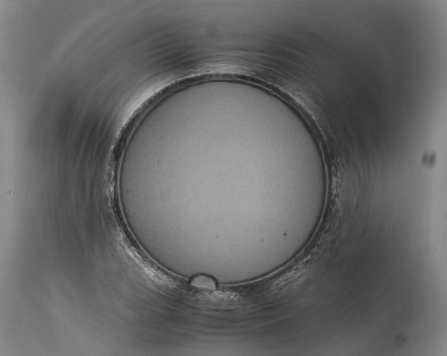 X0000115341119200911161825