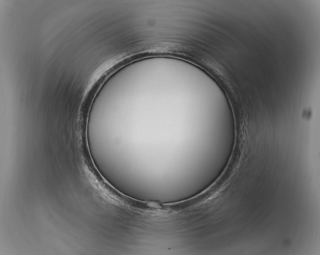 X0000115341122200911161825