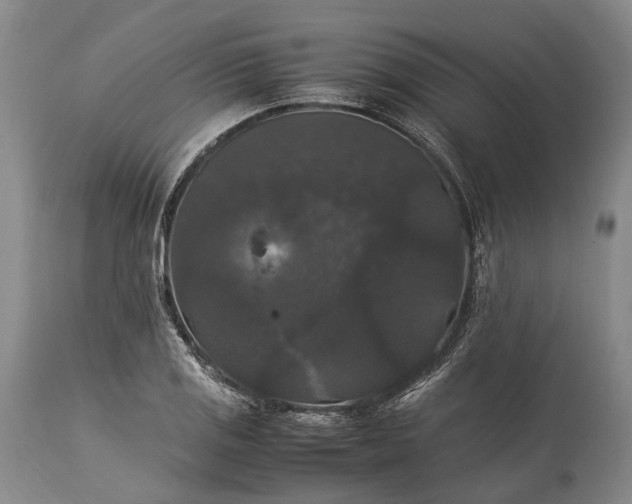 X0000115341125200911161825