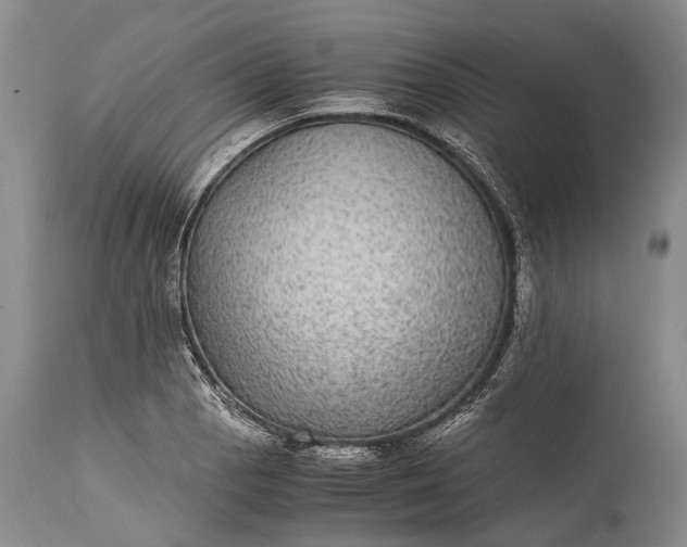 X0000115341129200911161825