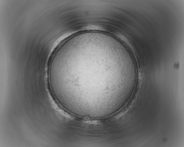 X0000115341133200911161826