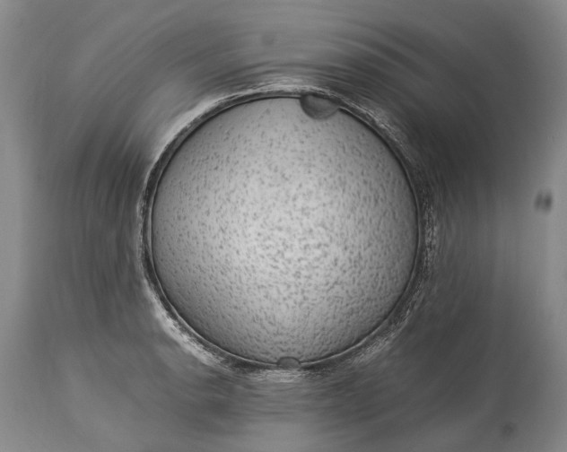 X0000115341134200911161826